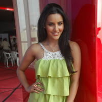 PRIYA ANAND CUTE PHOTOS AT 180 SUCCESS MEET | Picture 43520